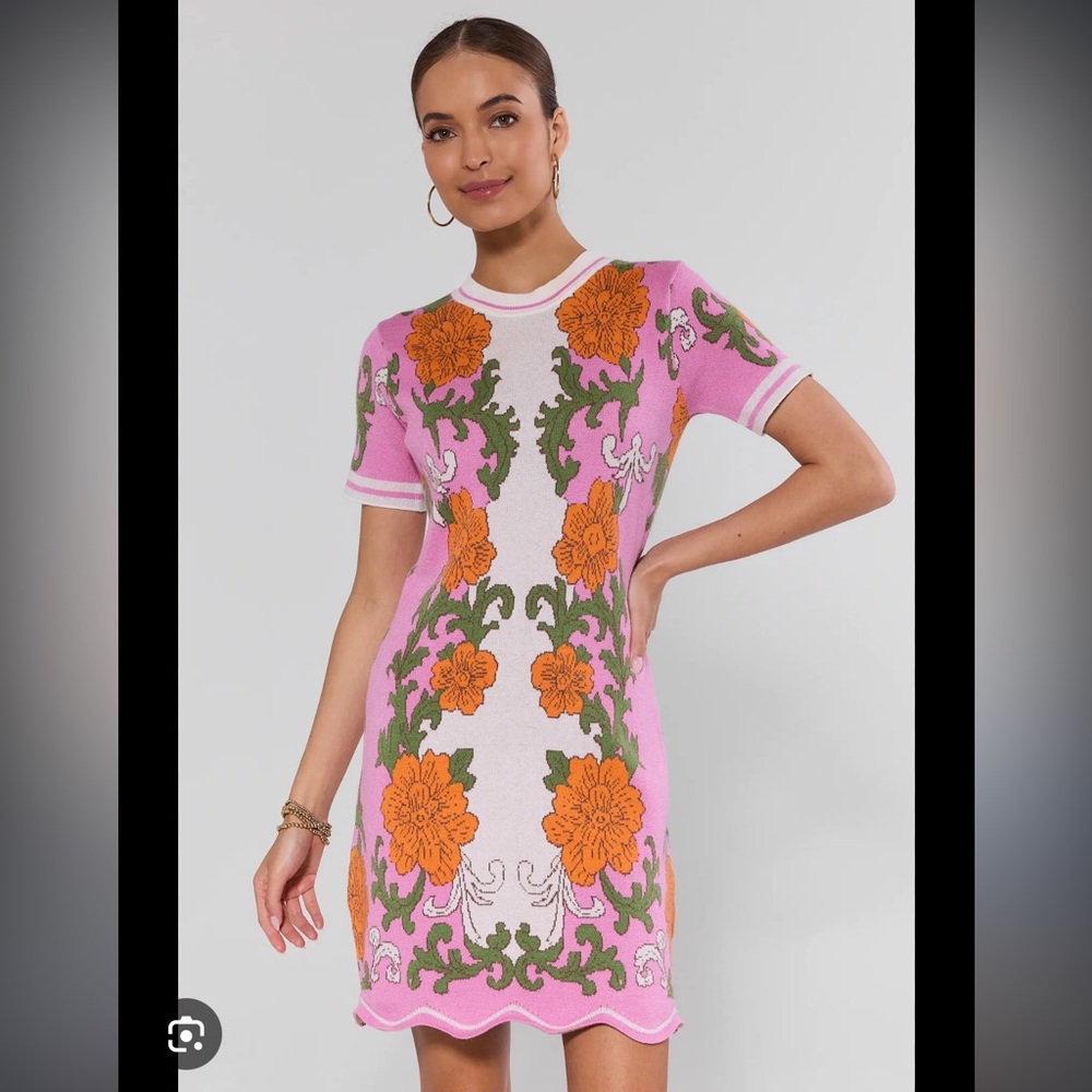 NWT Avara Ashley Pink Knit Short Dress